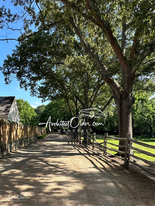 Williamsburg shaded lane