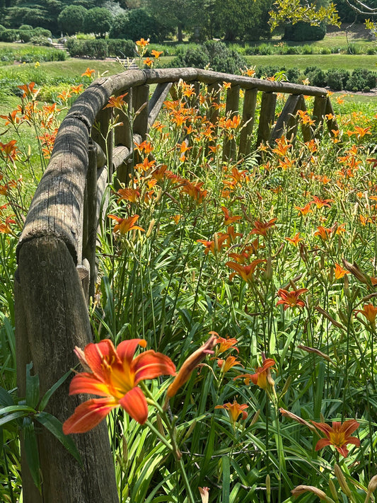 How a President and a DuPont heiress created a beautiful garden across a century