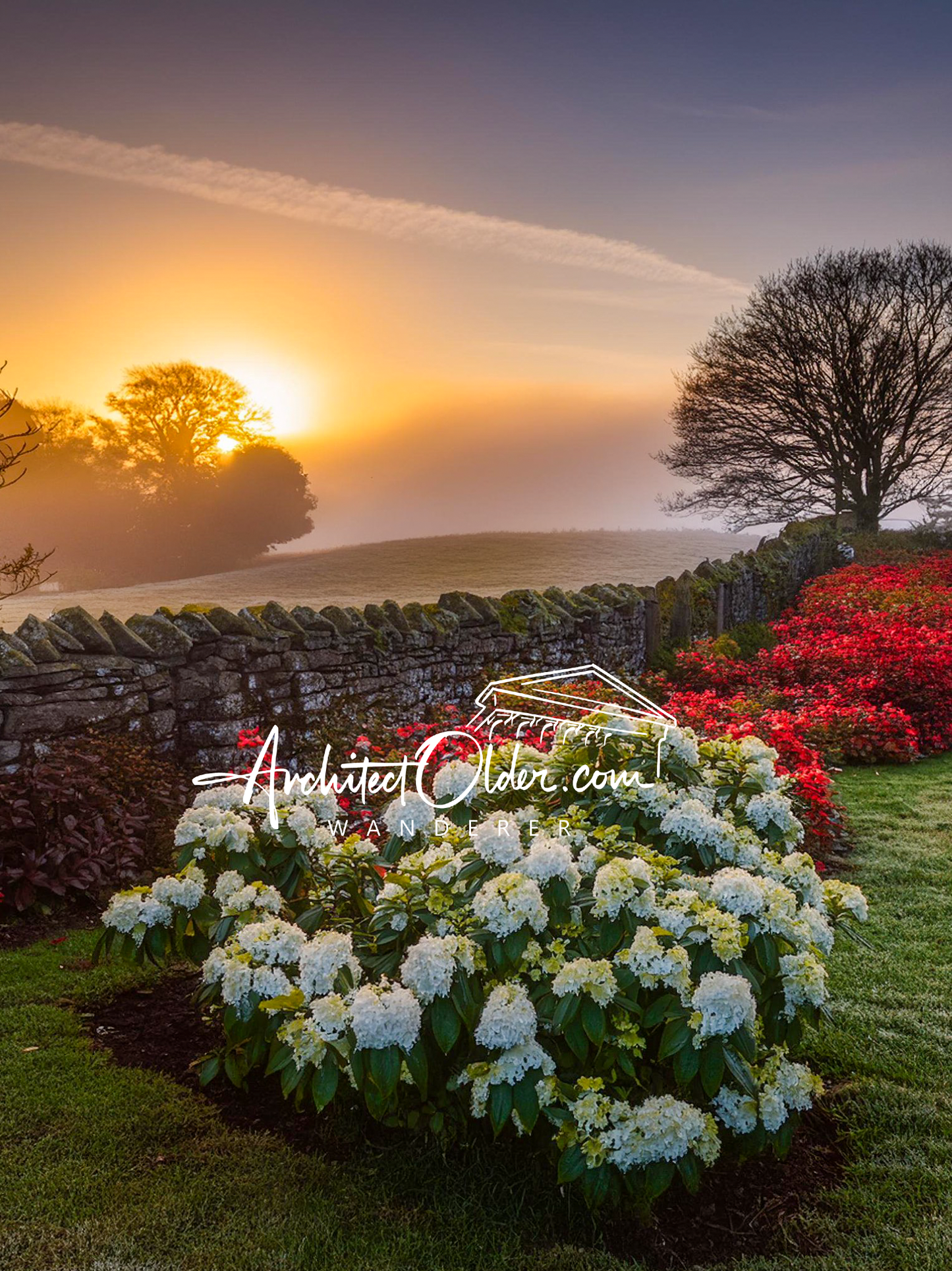 English Gardenias