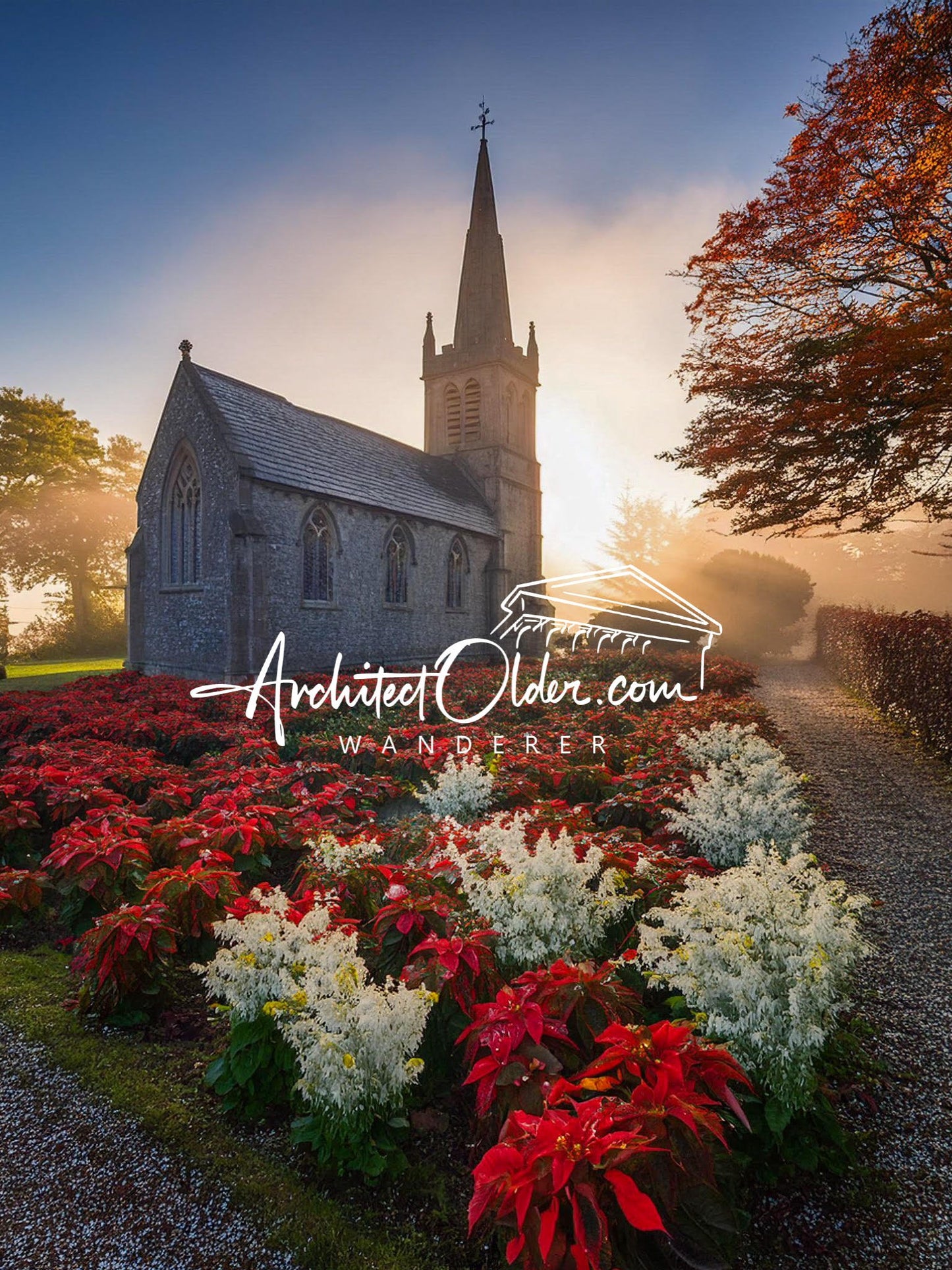 Poinsettia Irish church