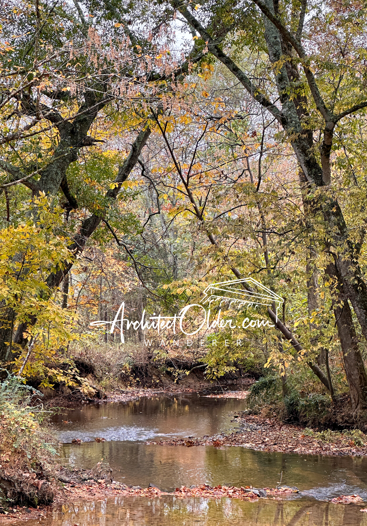 Autumnal creek