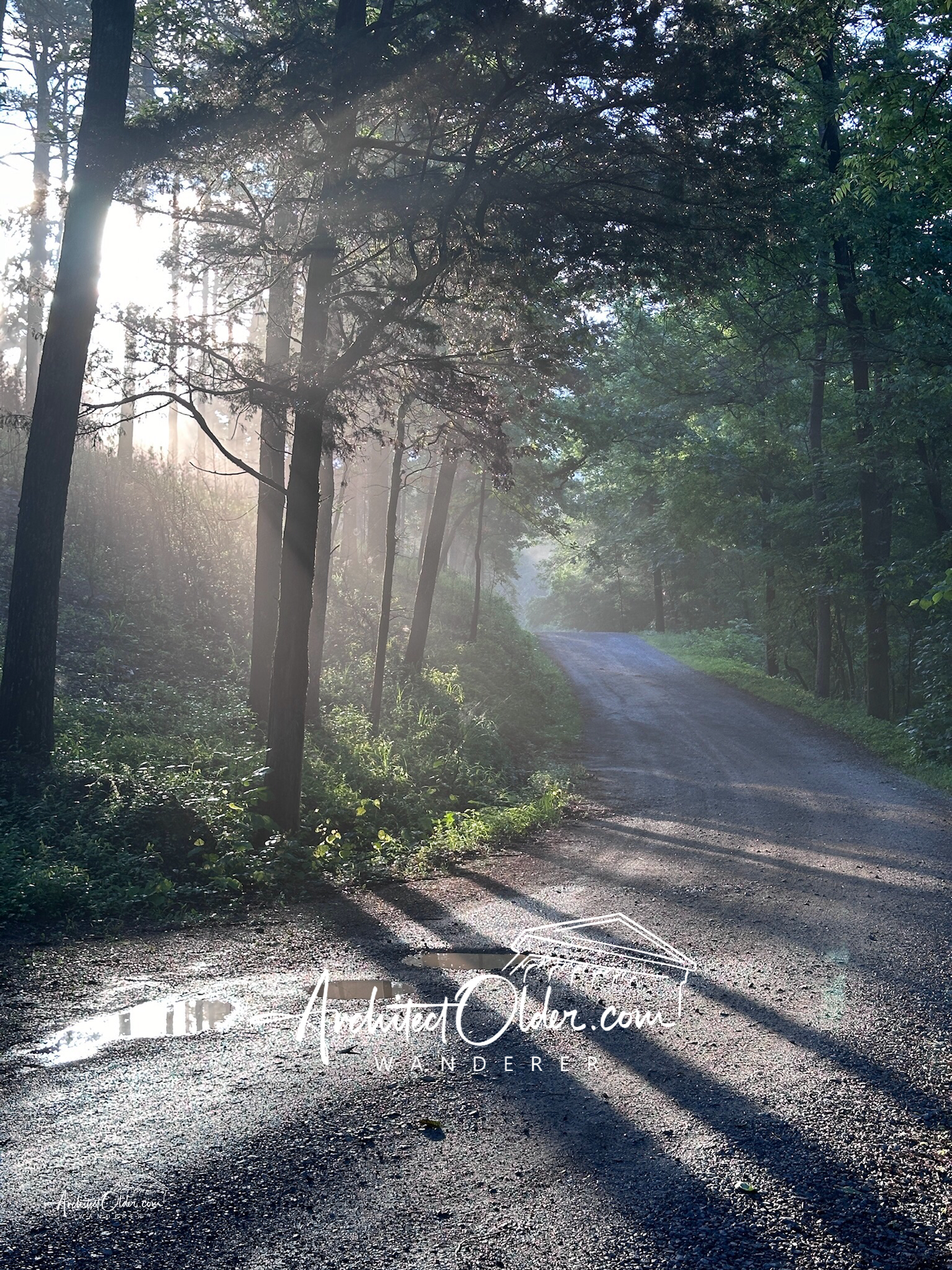 Morning Road at Berry