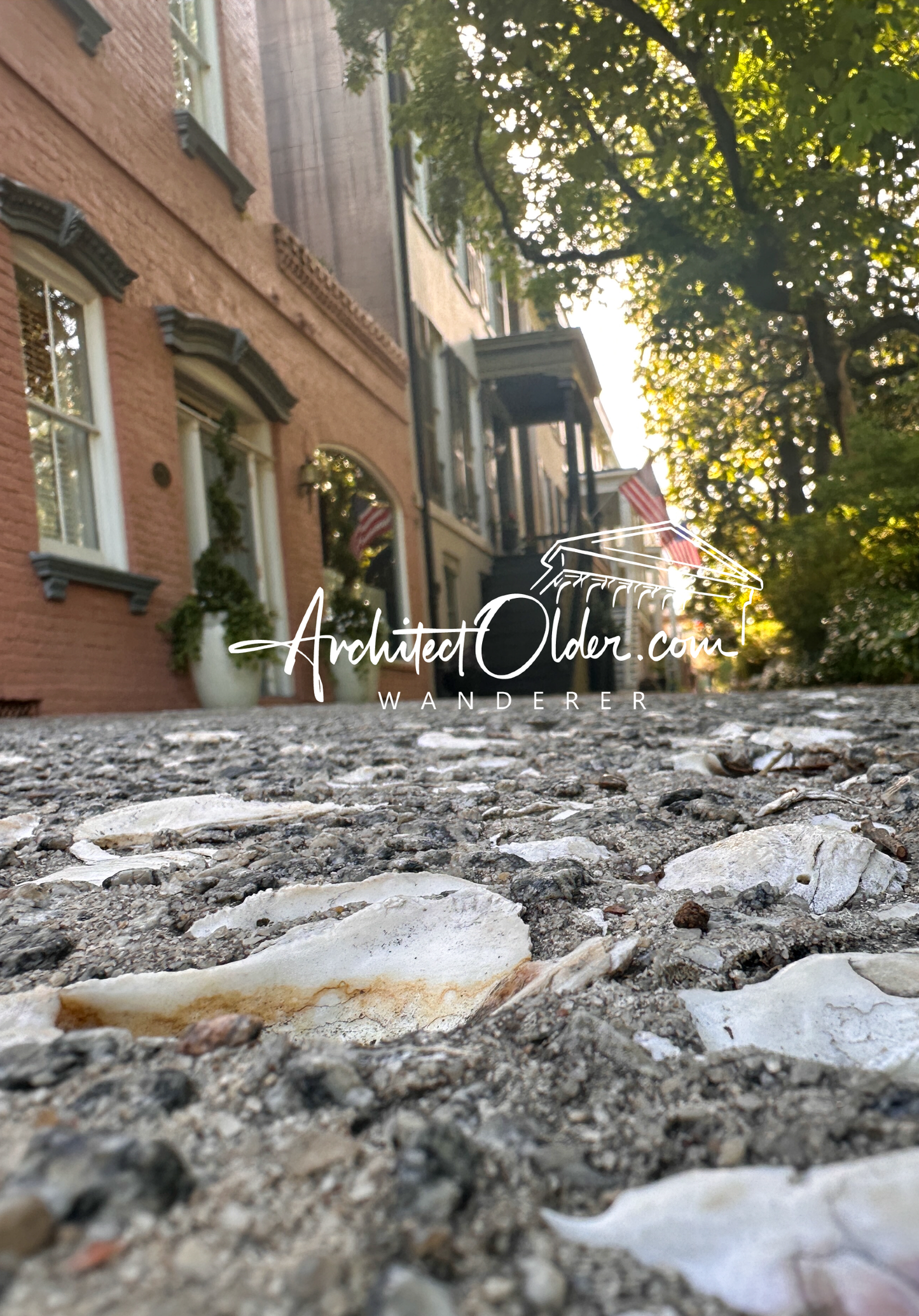 Sea Shell Street